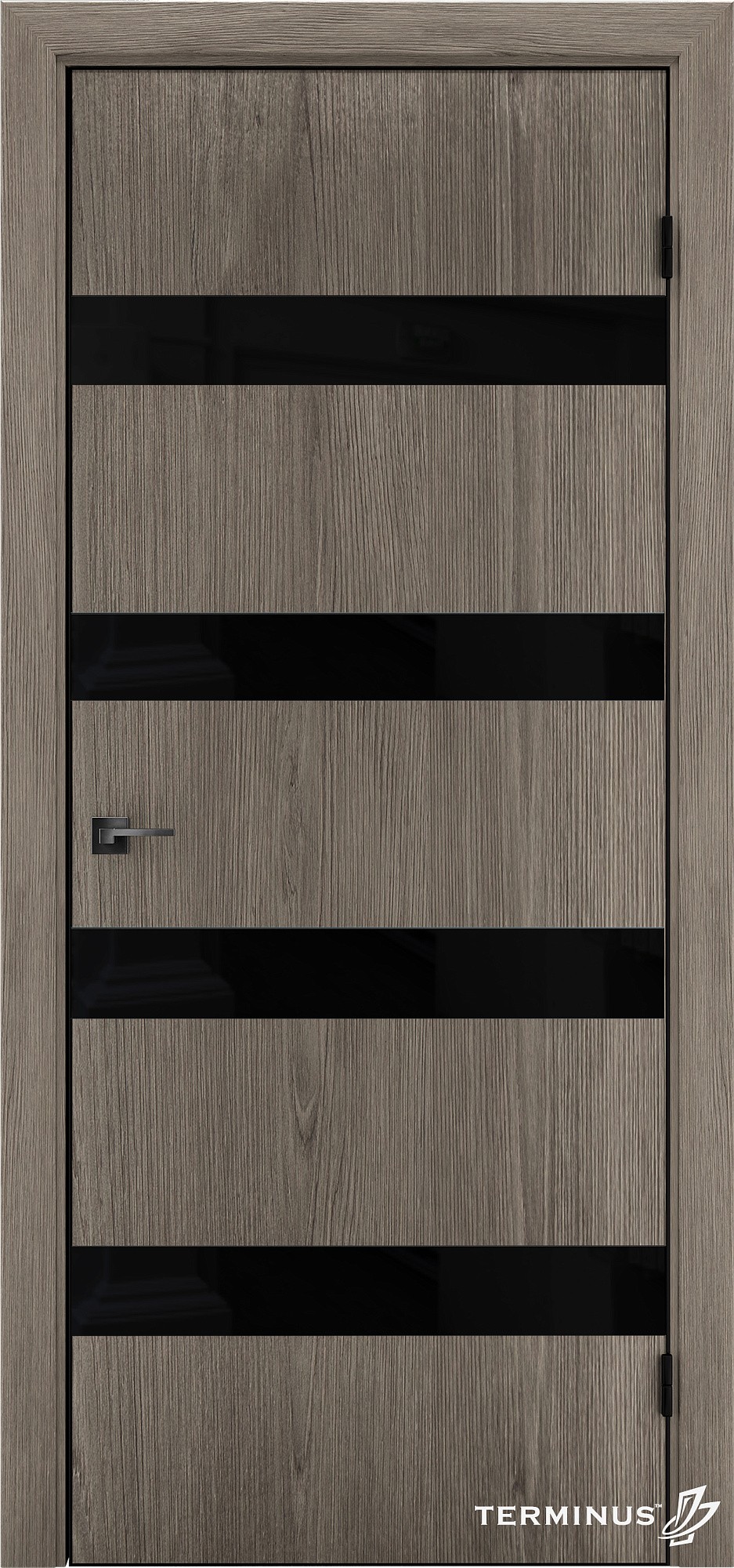 Двері модель 809 Тундра (планілак чорний)