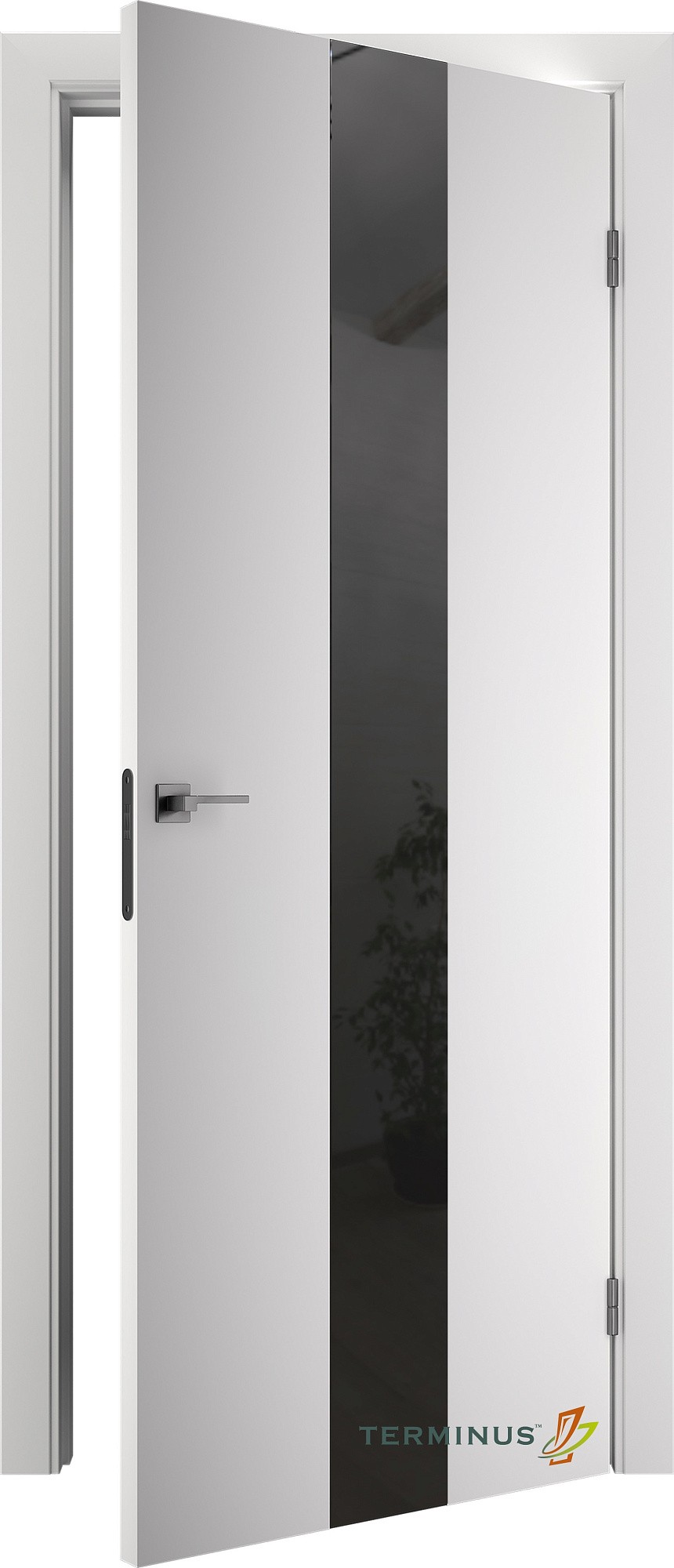 Двері модель 804 Білі (дзеркало графіт) №1