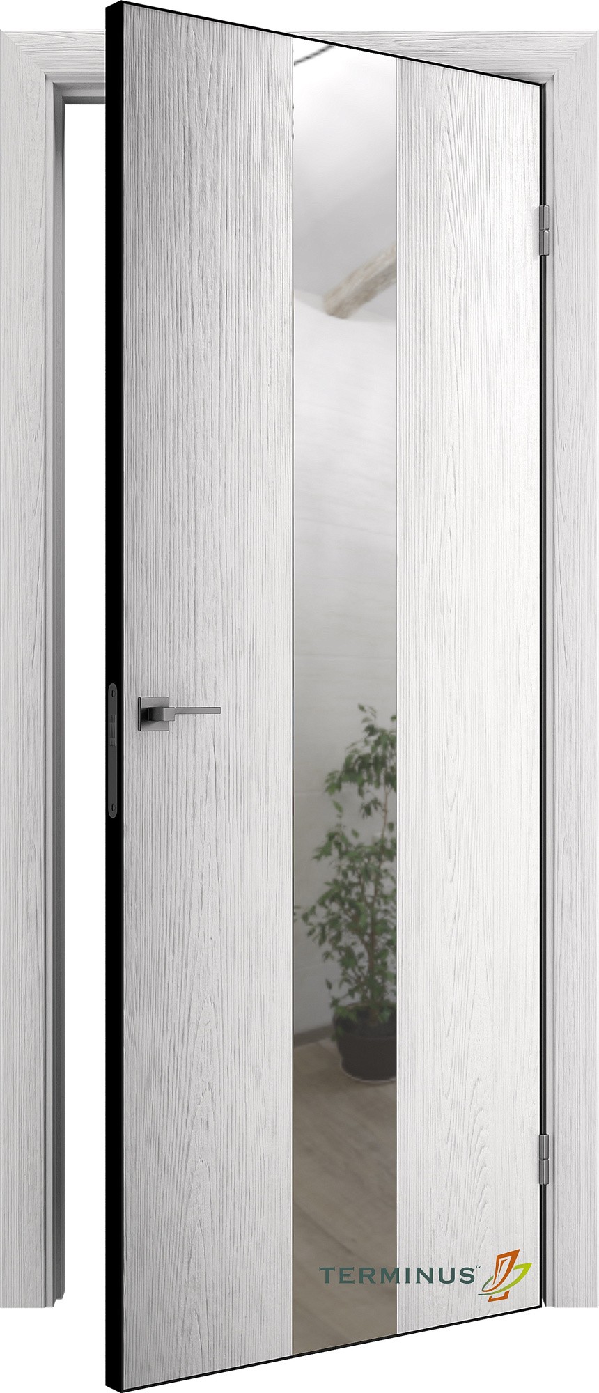 Двери модель 804 Артика (зеркало серебро) №1